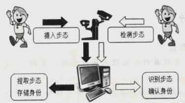 智能步态评估训练系统，重塑步态，康复之路的得力助手