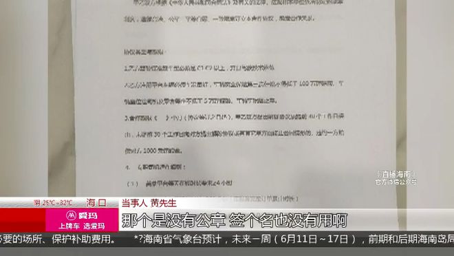 沛县司机最新招聘，职业前景、需求分析与应聘指南全解析