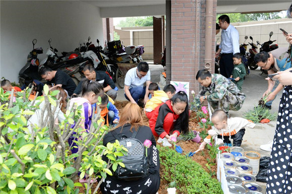 天津弃婴岛最新动态，守护生命，共建和谐家园