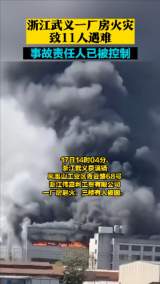 历史上的11月17日武义火灾事件深度解析，正反观点探讨与启示