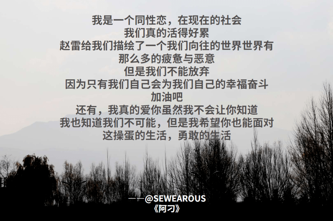 网易文案精选，秋日暖阳下的温馨回忆——十一月十七日小事忆记