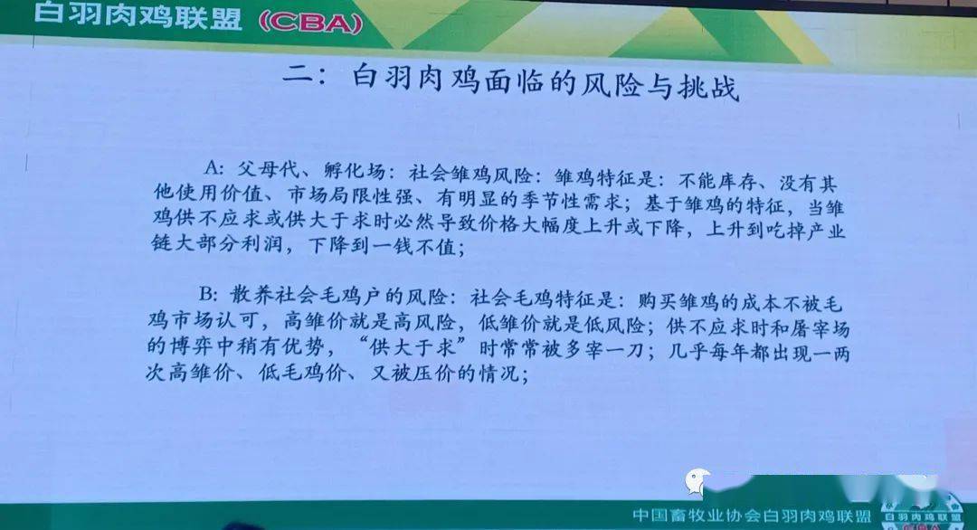 山东白羽肉鸡最新价格动态解析及趋势分析