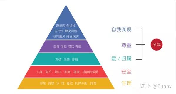 人生路径，探索、选择与转折之路