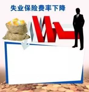 巷弄深处的保险新篇章，2017年最新政策与独特小铺故事