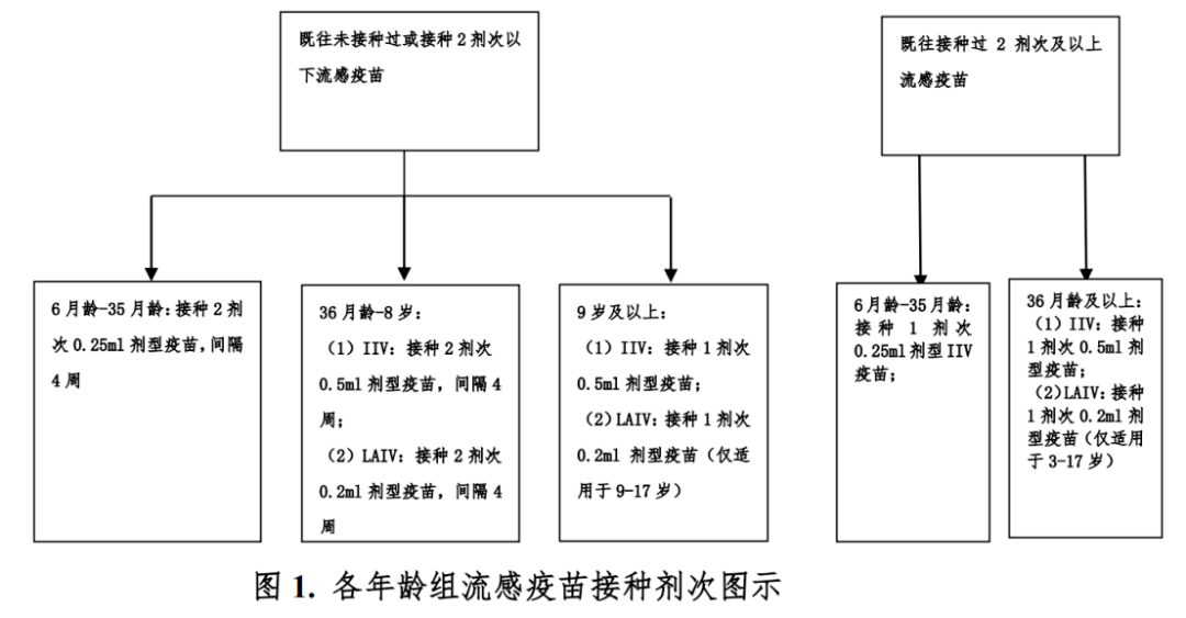 滕房网个人房最新出租信息及全流程指南，初学者与进阶用户适用