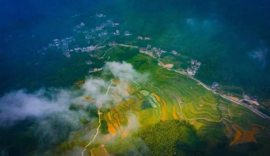 探秘青海小巷深处的明胶秘境，一场美食冒险之旅