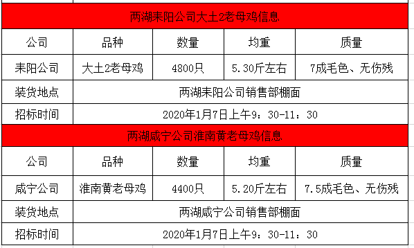 耒阳最新干部任免指南，11月6日更新