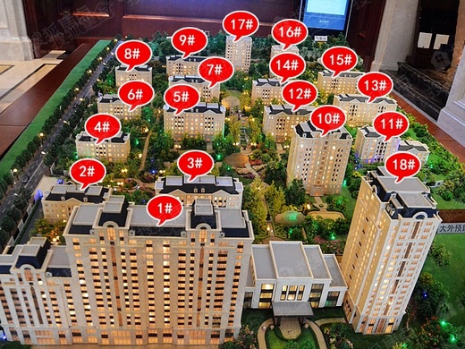 2024年11月8日定州中山首府最新动态报道与概览