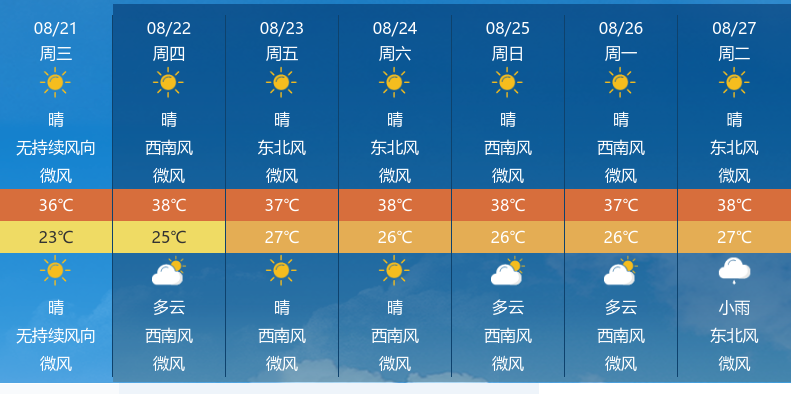 欧美时尚尖端爆款来袭，2024年11月8日潮流盛宴