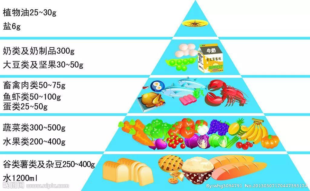 历史上的11月10日，最新膳食指南对儿童营养的指导策略发布