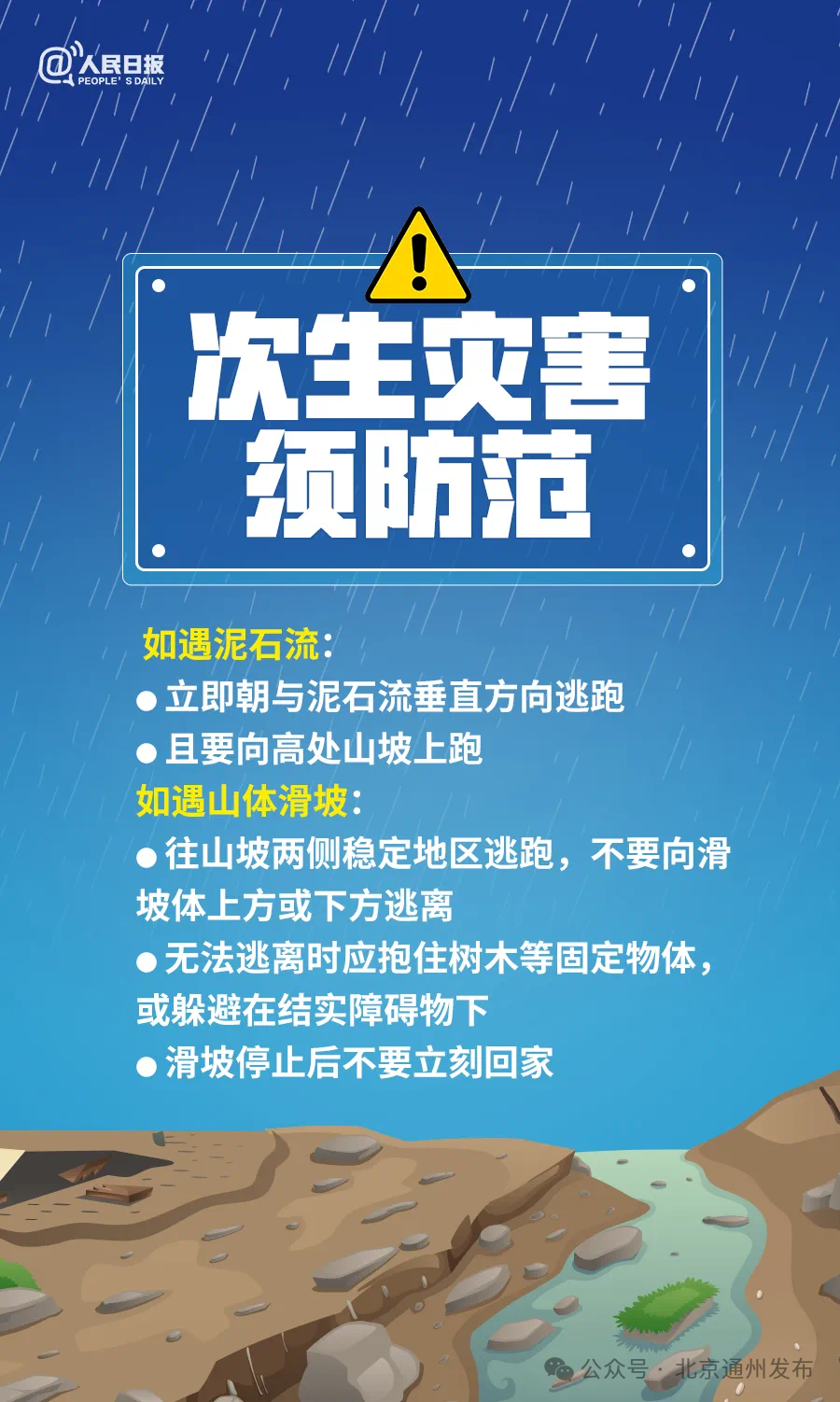 11月10日深圳最新招工信息深度解读与洞察，脉动深圳