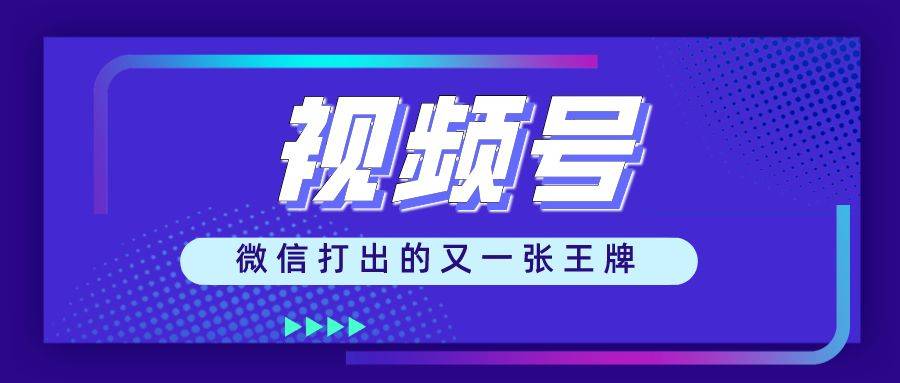 11月抢钱通最新公告详解与深度评测