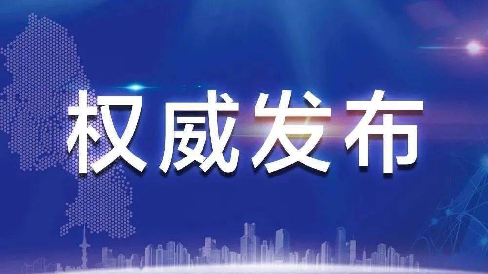 往年11月13日新疆疫情最新情况及高科技产品体验报告，科技领航，智能守护下的新疆新篇章