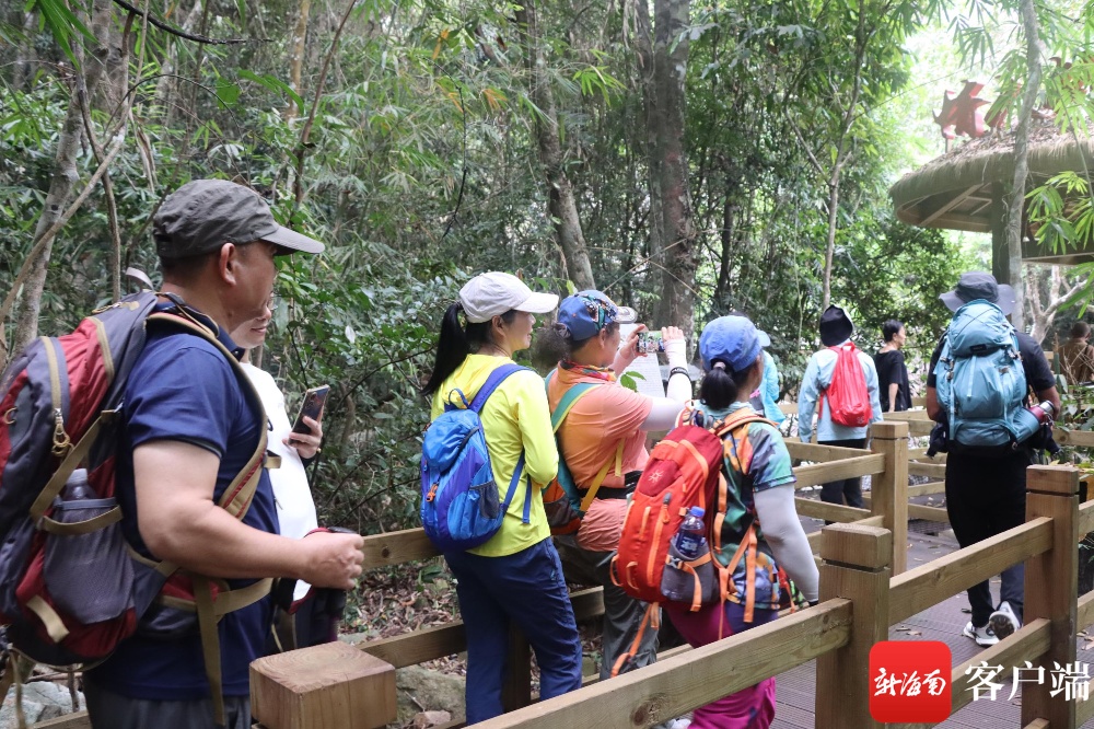 通海最新新闻揭秘，探寻自然秘境之旅的心灵洗礼