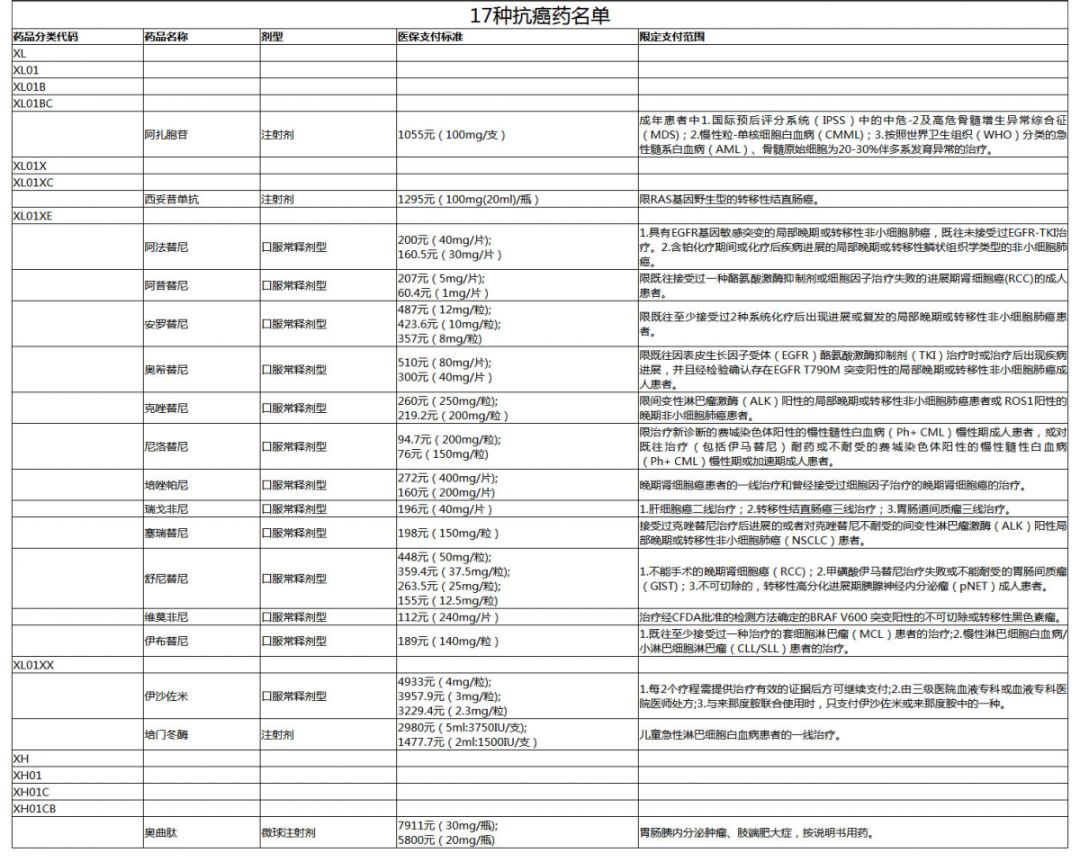 2024年11月19日 第17页