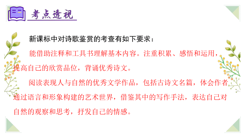 历史上的11月16日，镶牙技术的演变之旅与最新进展