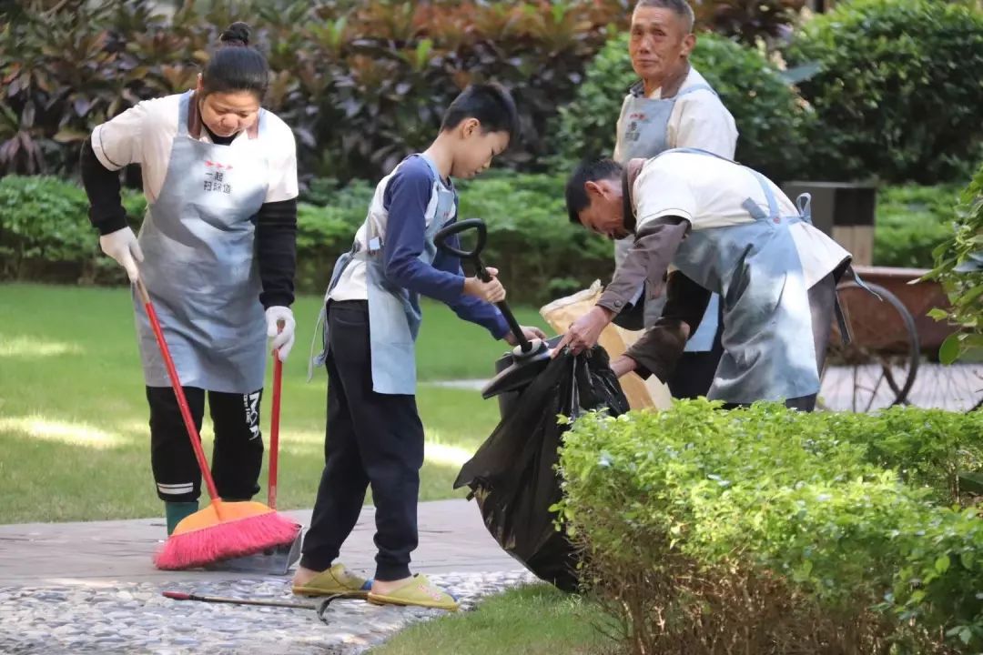 张伯礼疫情最新动态下的自然美景探索与心灵洗涤之旅