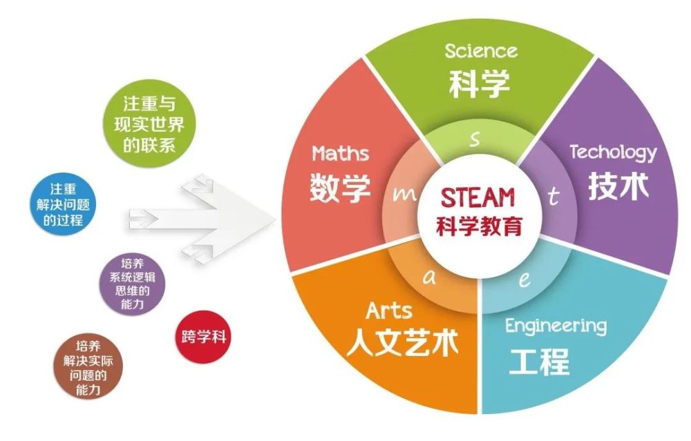 历史上的11月17日与生物瓣技术的最新进展，观点阐述及最新资讯