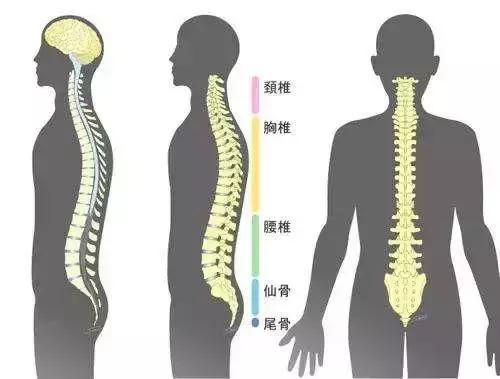 腰椎康复与自然美景探索之旅，12月1日的双重体验