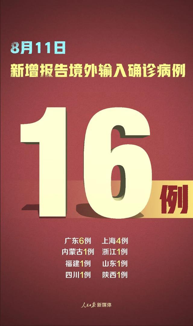 11月17日新疆本土病例最新动态，多重因素下的复杂视角与个体立场解析